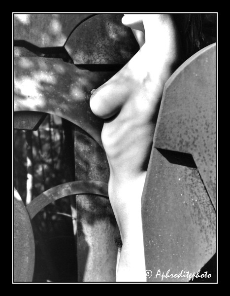 304 La sculpture et le corps 3